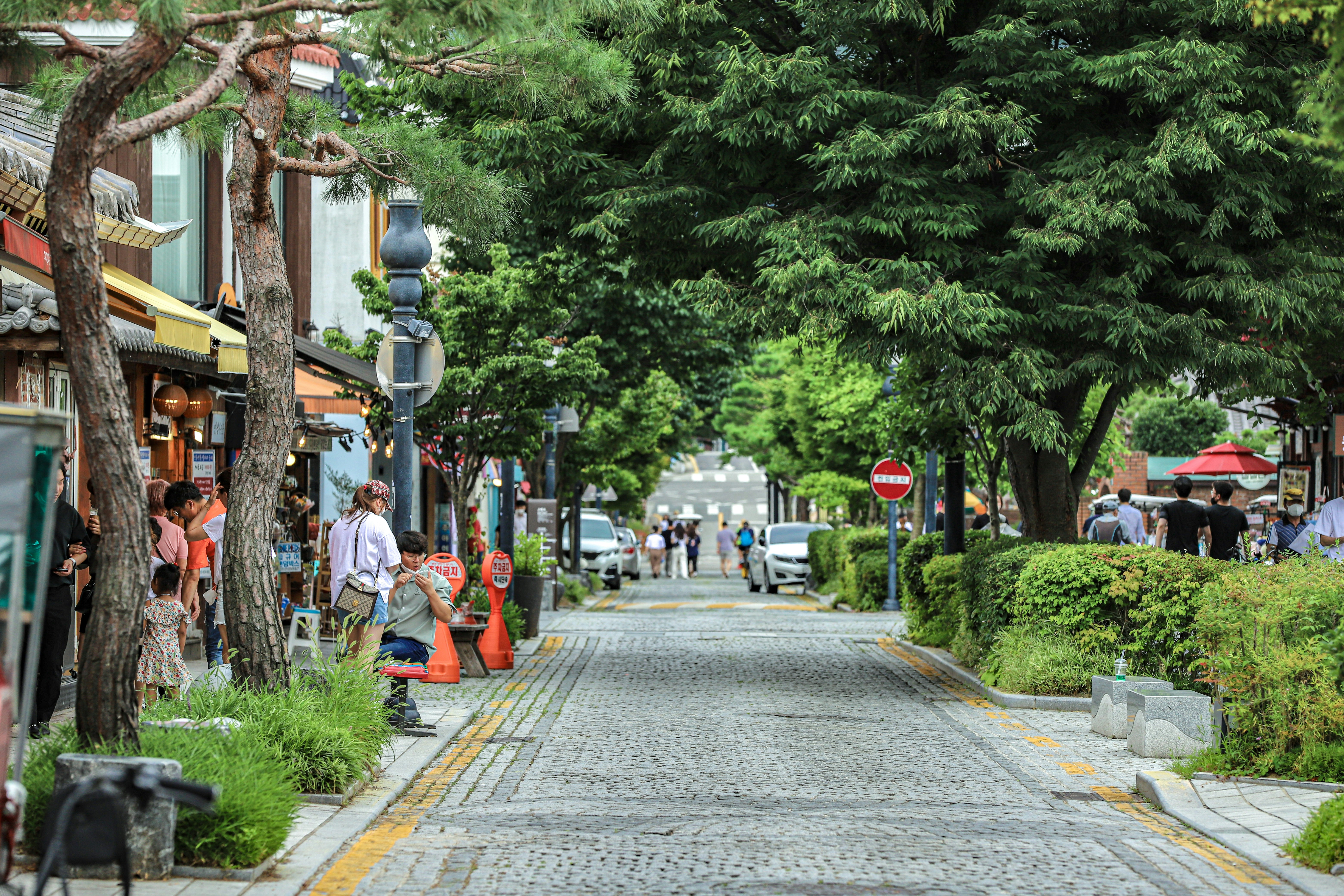 Jeonju in 2 Days: Where Flavor Keeps History Close