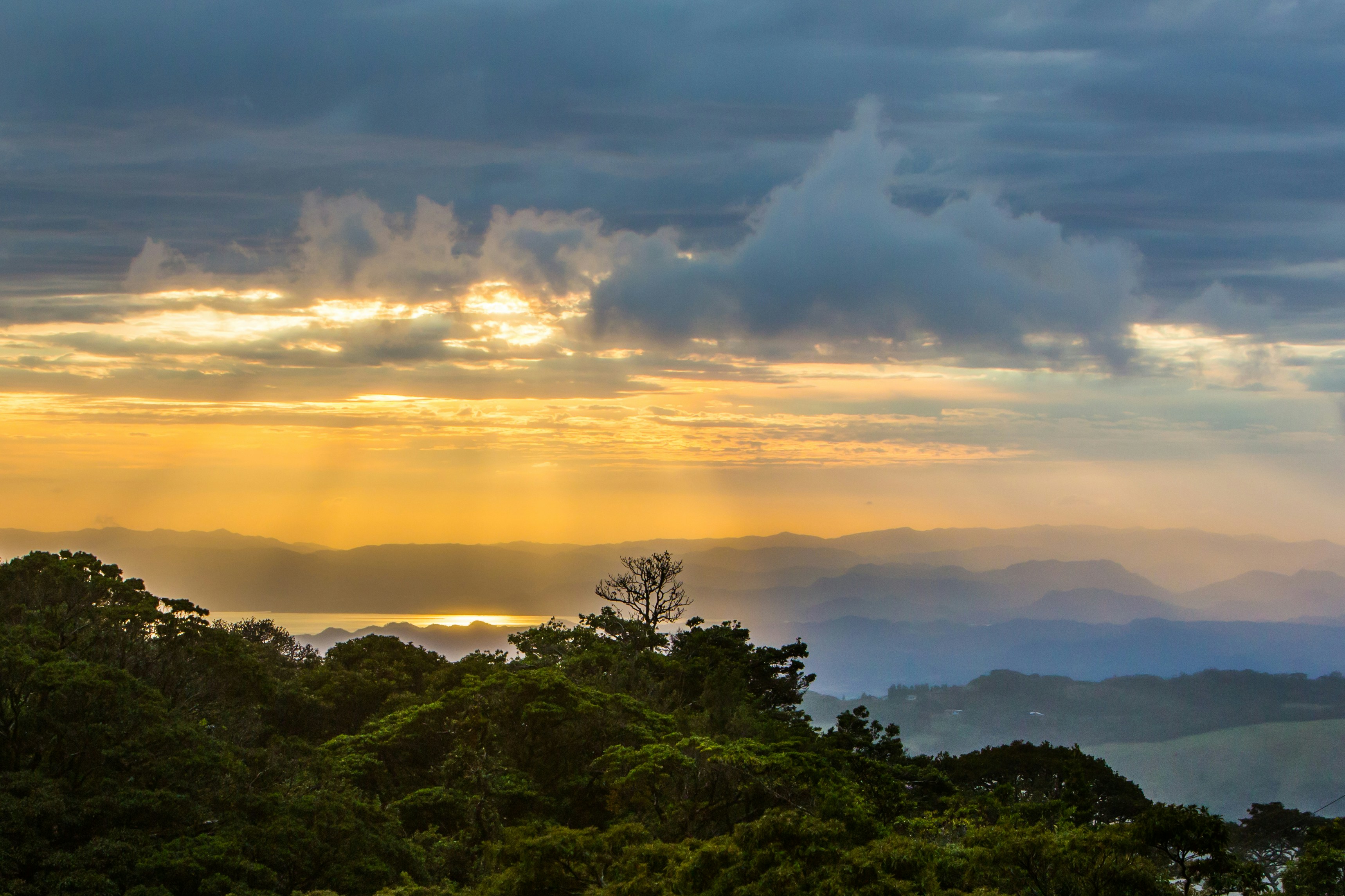 Monteverde in 3 Days: Living Above the Canopy