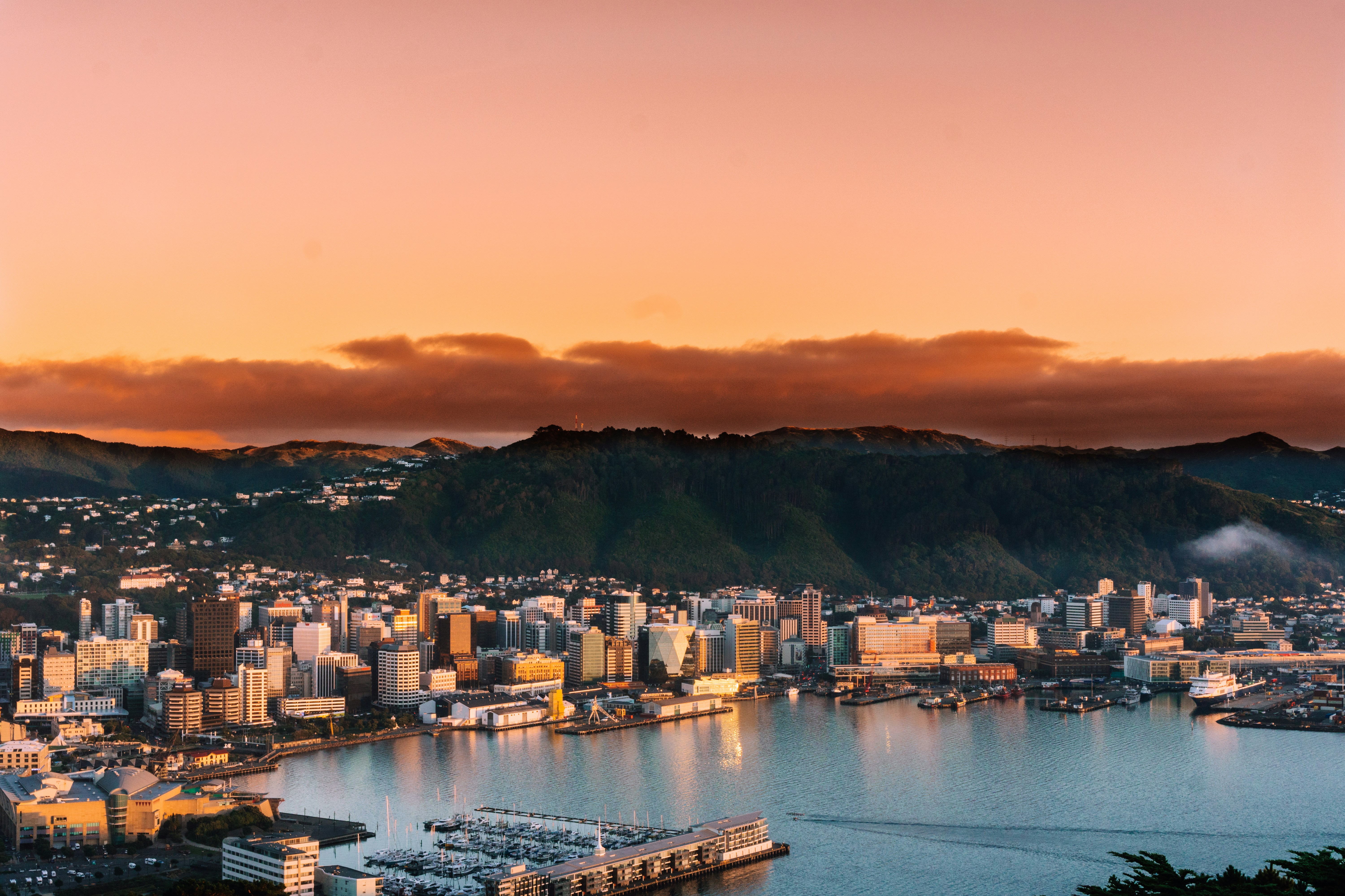 Wellington in 3 Days: Wind, Ideas, and Compact Life