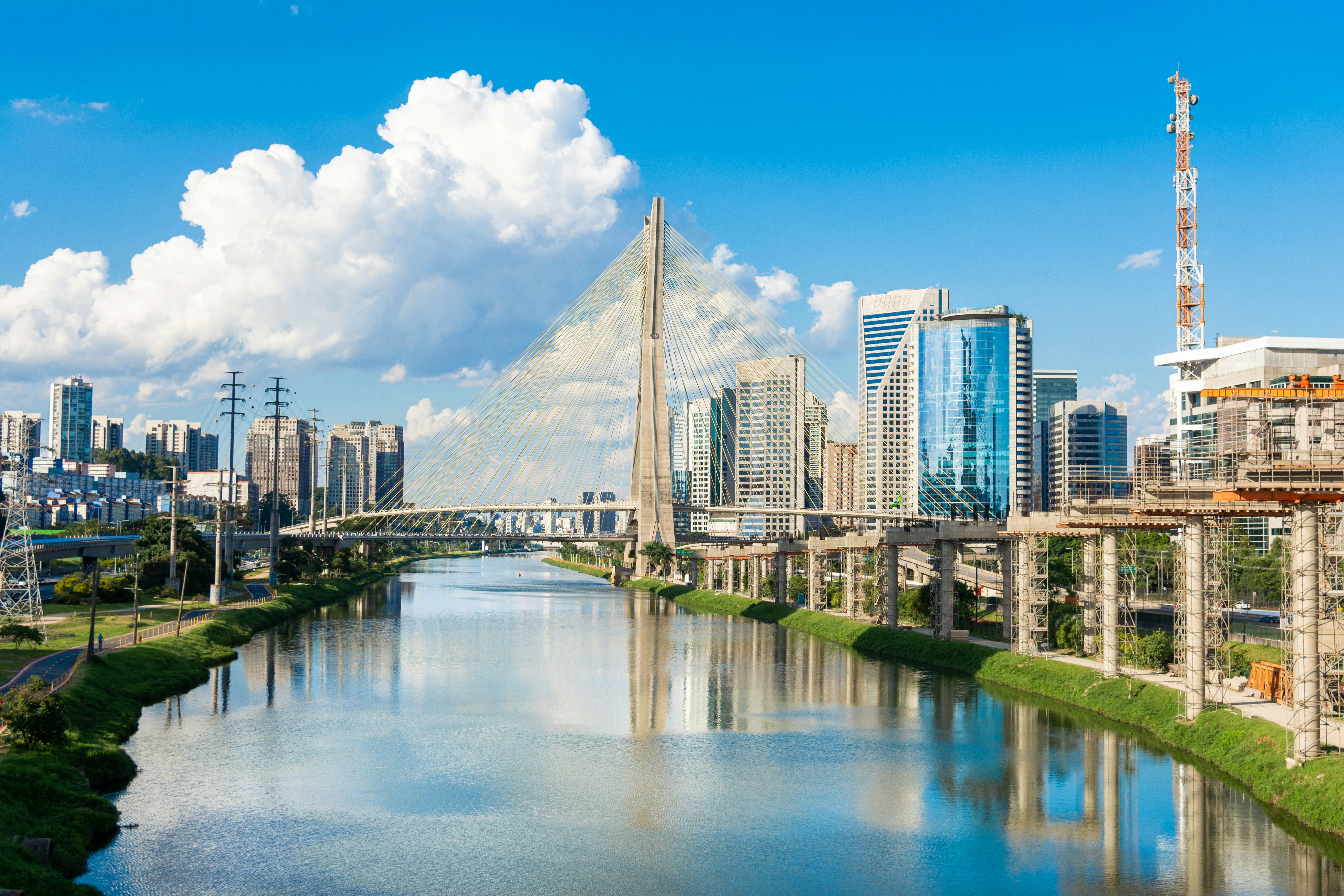 São Paulo in 4 Days: Density, Appetite, and Collision
