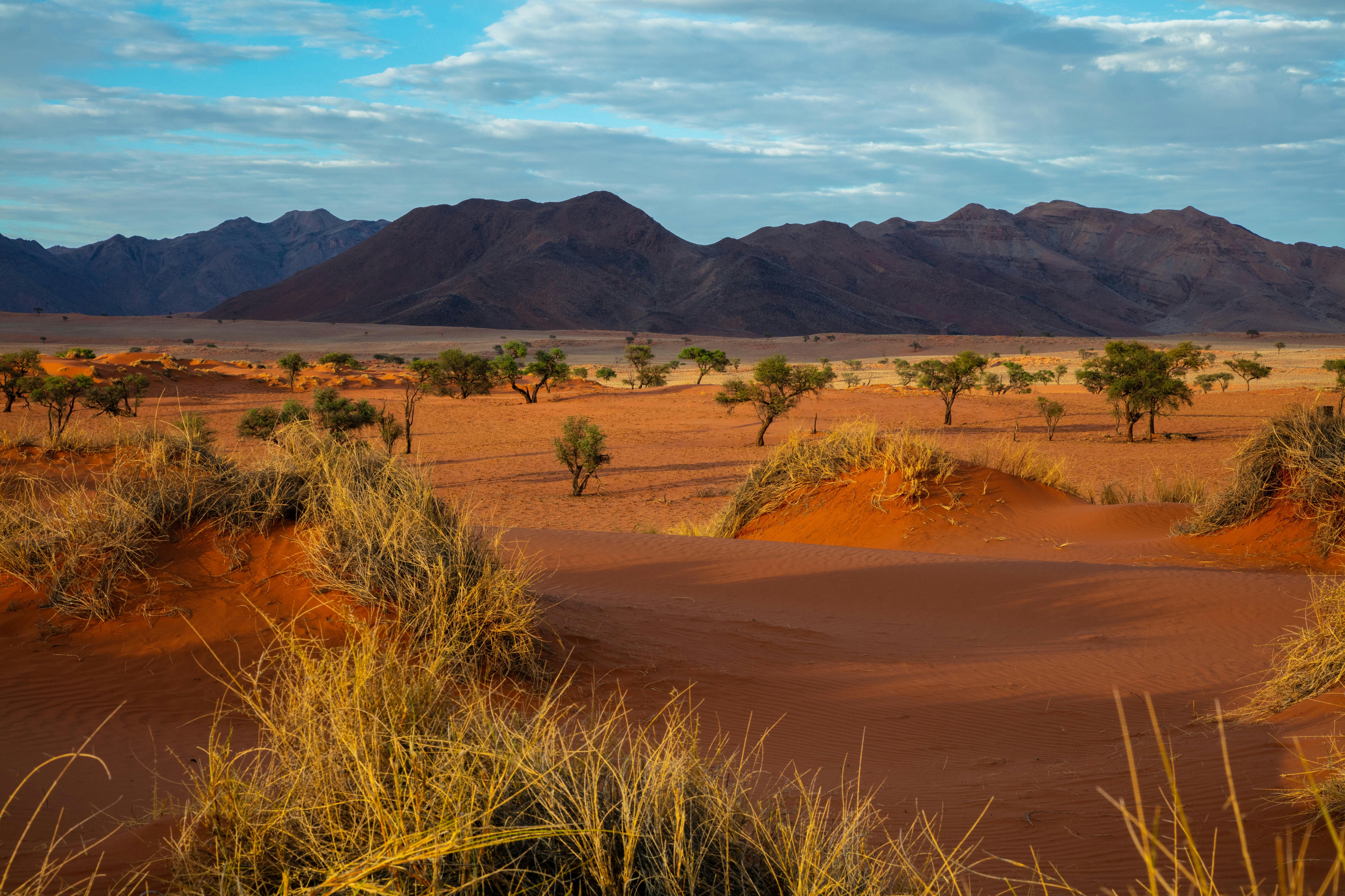 Namibia in 5 Days: Silence, Shadow, and Absolute Space